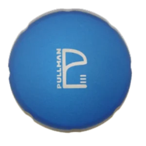 Blue Palm SALE